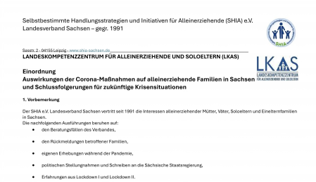 PDF der Einordnung: Auswirkungen der Corona-Maßnahmen auf alleinerziehende Familien in Sachsen und Schlussfolgerungen für zukünftige Krisensituationen